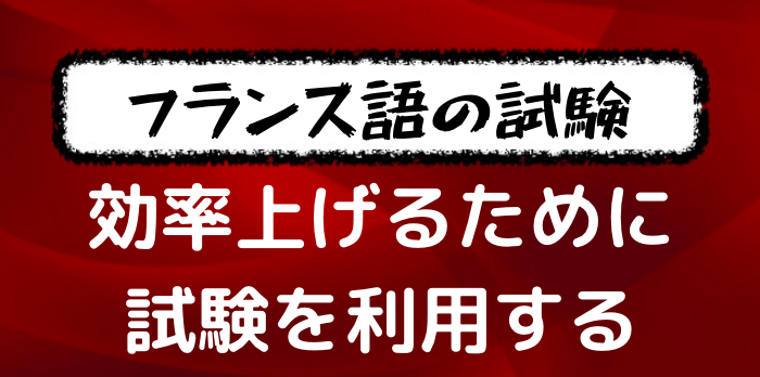 初心者向け フランス語の勉強法に悩む人が最初にすべきオススメなこととは フランス語学習ライオンさん